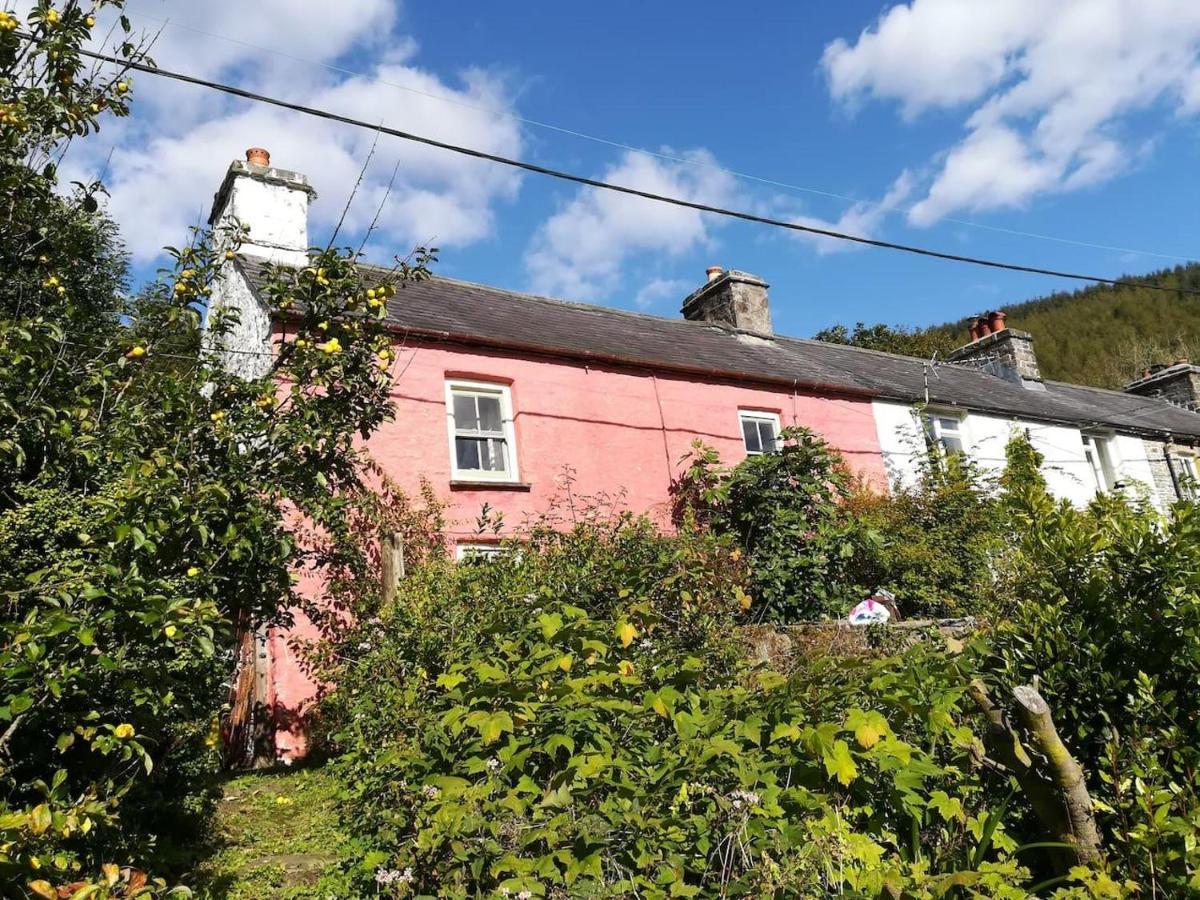 Relaxing Pet Friendly 2-Bed Cottage In Rhandirmwyn Llandovery Exterior photo
