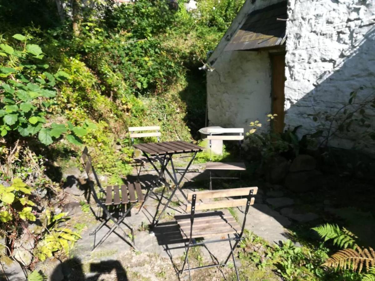 Relaxing Pet Friendly 2-Bed Cottage In Rhandirmwyn Llandovery Exterior photo